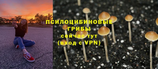 мдпв Заволжье