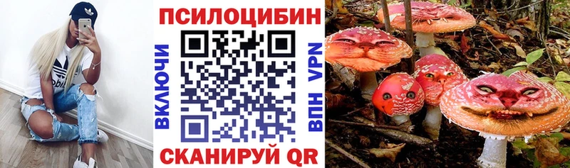 купить наркотики цена  мега tor  Галлюциногенные грибы мицелий  Каменск-Шахтинский 