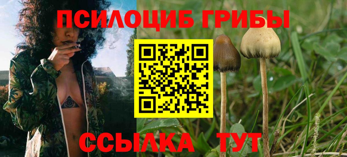 Каменск-Шахтинский  Псилоцибиновые грибы мухоморы  Вход с VPN 
