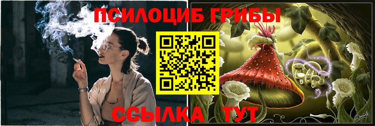 Галлюциногенные грибы Cubensis Каменск-Шахтинский