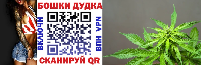 Конопля гибрид Каменск-Шахтинский