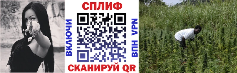 Бошки Шишки план  Каменск-Шахтинский 